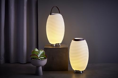 Kooduu Portable Bluetooth speaker, dimmable LED lamp, wine cooler (Synergy 35)