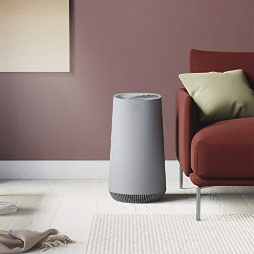 Electrolux Air Purifier,Flow A4,Ui Sensor,19/26Db 48/52Db,Automatically AdjUStable Fan,Area 26M2,Home And Office,Clean DUSt,Smoke,Pollen,Hay Fever,Cooking Smell,Pet Dander Fa41 402Gy, White