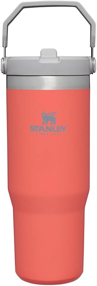 Stanley IceFlow Stainless Steel Tumbler with Straw - Vacuum Insulated Water Bottle for Home, Office or Car - Reusable Cup with Straw Leakproof Flip - Cold for 12 Hours or Iced for 2 Days