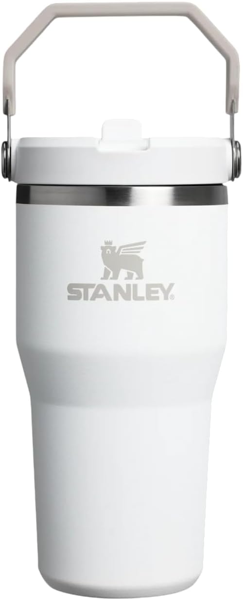 Ice Flow GO 600ml/20oz Flip Straw Wtr Btl Frost