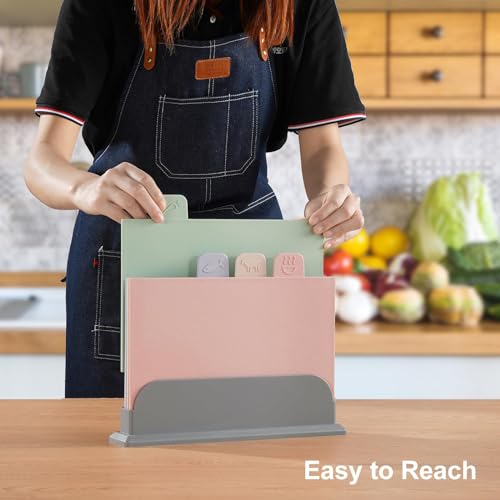 TERRIFI 4 Pcs Cutting Board Set with Stand, Color Coded Reversible Chopping Boards, Plastic Cutting Boards Compact,for Safer Food Prep, Prevent Cross-contamination, Eco-friendly Wheat Straw Fiber