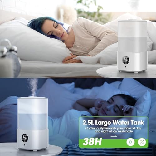 Baeskii 2.5L Humidifiers for Bedroom with Night Light, Cool Mist Humidifier for Home, Office & Plant, Auto-Off, Up to 38H for 20 ?, Quiet Operation with 360° Rotation Nozzle