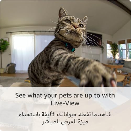 Ring Pan-Tilt Indoor Camera | Plug-In Pet Security Camera | 360� pan & 169� tilt coverage, Manual Privacy Cover, HD video, Two-Way Talk, Wi-Fi | 30-day free trial of Ring Home