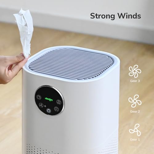 Abirday Air Purifiers 3-Stage Smart Air Purifyer for Bedroom Home up to 50㎡, With Built-in Humidifier Function, Hepa Air Filter Cleaner Super Mute Efficient Filtering for Pets Smokers Office