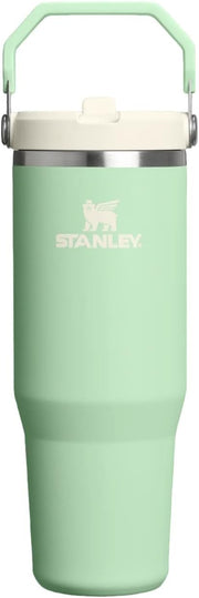 Ice Flow GO 890ml/30oz Flip Straw Wtr Btl Pistachio