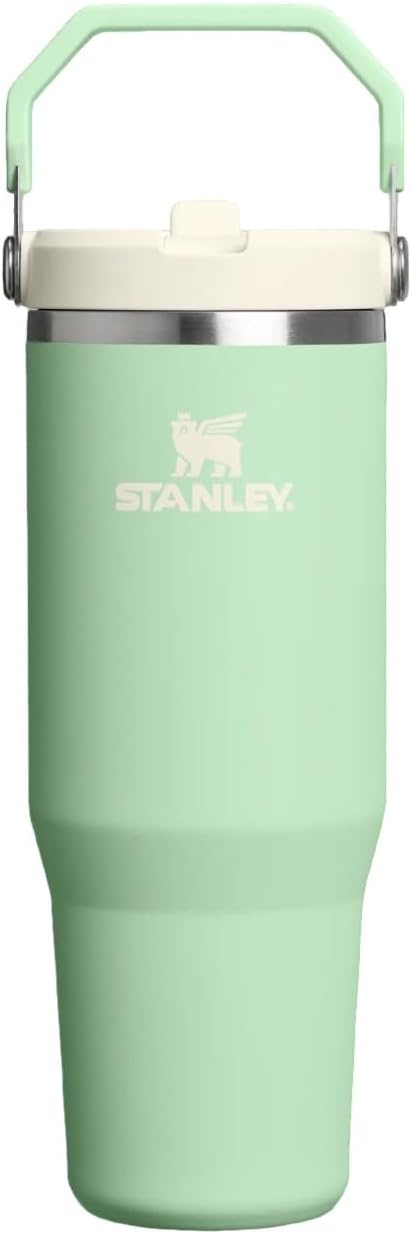 Ice Flow GO 890ml/30oz Flip Straw Wtr Btl Pistachio