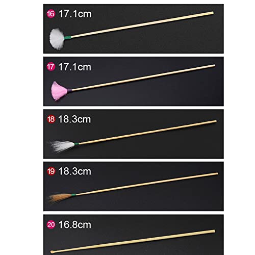 XZEIT Ear Spoon, Ear Cleaning Tools Earwax Removal Kit Ear Pick Set Earwax Remover Spoon Ear Care Tools Adult Earpick with LED Light (Color : Hortel�)