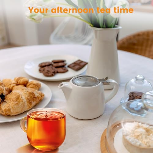 SPNOR Tea Pot, Ceramic Loose Leaf Teapot 500ml, Water Pot Infuser Strainer and Lid, Small Porcelain Tea Pot, Coffee Pot 18.6 Oz â€“ White