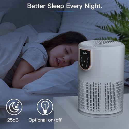 Aircillin Air Purifiers for Home Bedroom, H13 True HEPA Filter Air Cleaner Remove 99.97% 0.3 Micron Particles/Smoke/Pet Dander/Pollen/Odor/for Office, Dorm, Apartment, Kitchen (1-Pack AP0801)