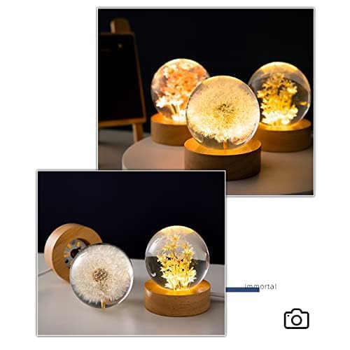 MARZIUS Flower Crystal Ball Night Light,2.4 inch Glass Ball Night Lamp with Woodern Base,Decorations Gifts for Men,Women,Kids,Boys,Girls,Teens (Red Daisy)