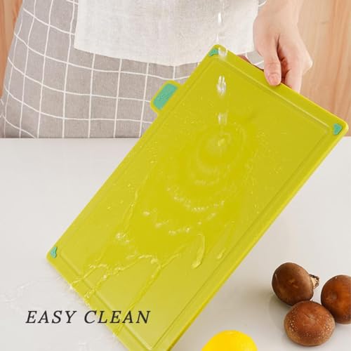 Bolivia's Kitchen Chopping Board, 4 Pcs Plastic Cutting Boards for Kitchen, Dishwasher Safe Cutting Board Set with Holder, Cutting Boards for Kitchen Different Food Types, Color Coded
