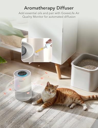 GoveeLife - Smart Air Purifiers for Bedroom, HEPA Portable Filter with Alexa WiFi Control for Pets Pollen Hair Smells, 24dB Quiet Air Purifier with 3