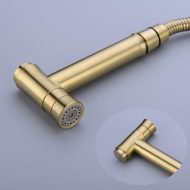 TRUSTMI Toilet Concealed Hot and Cold Bidet Spray Set, Brass Hand Held Warm Water Sprayer Shattaf,Chrome