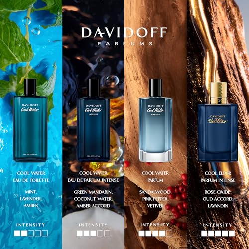 Davidoff Cool Water Perfume for Men Eau De Parfum 100ML