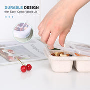 JICUICUI 4 Pack Snack Containers, 4 Compartments Bento Snack Box, Reusable Meal Prep Lunch Containers for Kids Adults, Divided Food Storage Containers for School Work Travel