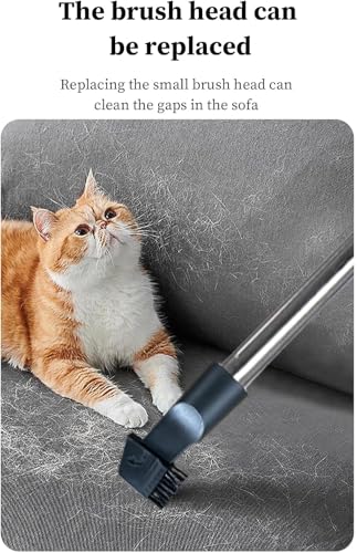 3600W 3.5L Corded Canister Vacuum Cleaner 26KPa Suction Power Multi-Cyclonic Lightweight Bagless Vacuum Cleaner, 4M 360-degree Swivel Hose And Washable HEPA Filter for Hard Floors, Pet Hair, Carpet