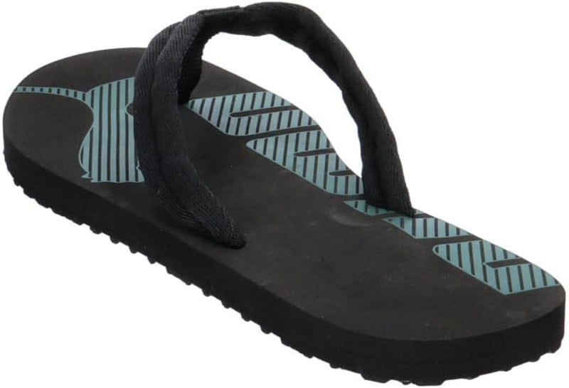 PUMA Epic Flip V2 Flip Flops mens Sandals & Flip Flops