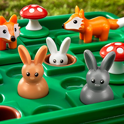Smart Games - Jump In', Puzzle Game with 60 Challenges, 7+ Years, 24 x 17 x 4.5 cm (LxWxH)