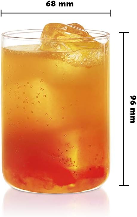 Borosil Vision Transparent Water Glass/Cold Drink Tumbler/ Beer Glass/Juice Glass Set of 6 Pcs (295 ML each) Flame Proof Glasses, Microwave & Dishwasher Safe