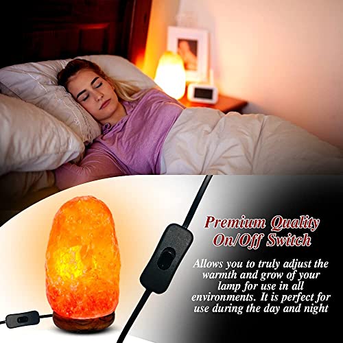 Sultani Salt International 2-3 Kg Natural Pink Himalayan Lamp | Hand-Carved Rock Night Light with Wooden Base | On/Off Switch & Bulb Included | Air Purifier & Mood Enhancer | Home Decor, Gift Idea |
