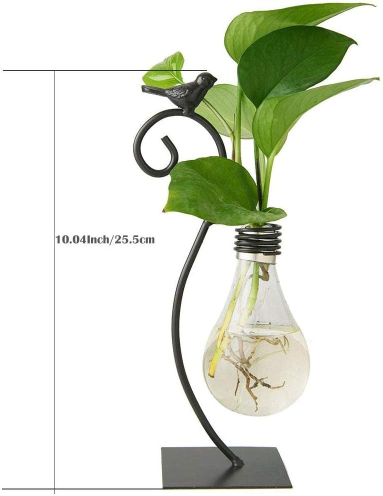 Desktop Glass Planter Hydroponics Vase,Planter Bulb Vase with Holder for Home Decoration,Modern Creative Bird Plant Terrarium Stand, Scindapsus Container