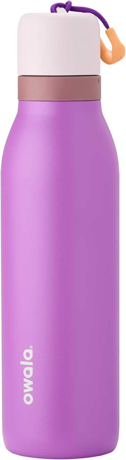 FreeSip Twist Insulated Stainless Steel Water Bottle with Straw for Sports and Travel, BPA-Free, 18-oz, Purple (California Grapevine) - California Grapevine 18 Ounces