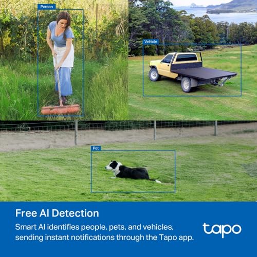 Tapo C501GW 4G 360° Outdoor Surveillance Camera with SIM Card, No Need Wi-FI, Colorful Starlight Night Vision, Free AI Detection, DC/PoE Power, IP66, Local and Cloud Storage