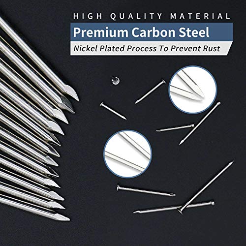 JEGONFRI 500pcs Hardware Nails, 1 Inch Nickel Plated Hanging Nails, Wall Nails for Picture Hanging, Wood Nails, Wire Nails, Small Nails (1 In)
