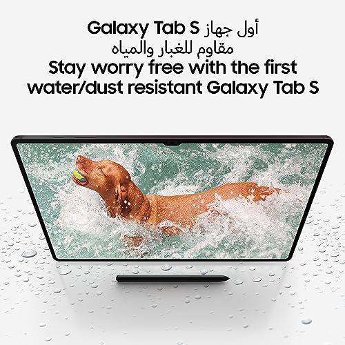 Samsung Galaxy Tab S9, 8GB RAM, 128GB Storage, Graphite (UAE Version)