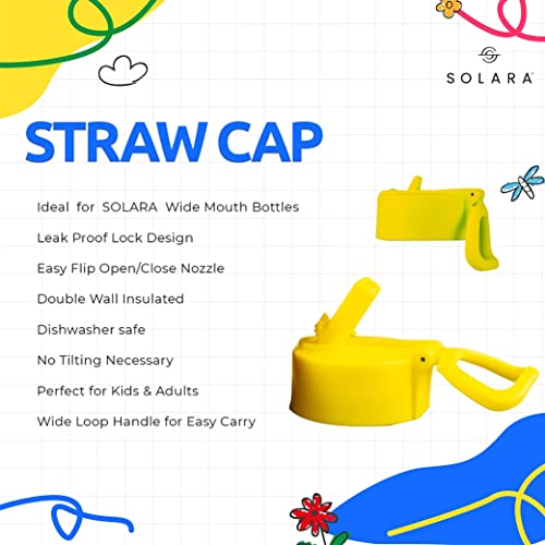 SOLARA Water Bottle for Kids 450ml, Kids Water Bottle, Sipper Bottle for Kids, Thermosteel Kids Bottle, Stainless Steel Water Bottle for Kids, Straw Bottle for Kids, Dino