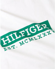 TOMMY HILFIGER mens COLOUR TO COLOUR GRAPHIC TEE S/S T-Shirt