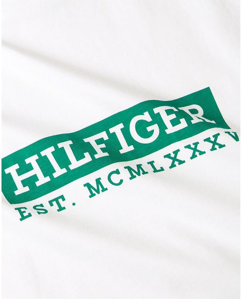 TOMMY HILFIGER mens COLOUR TO COLOUR GRAPHIC TEE S/S T-Shirt
