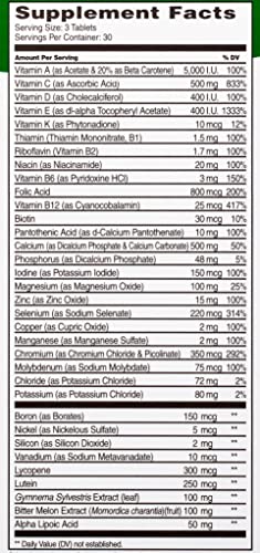 21st Century Diabetes Formula - 90 Tablets