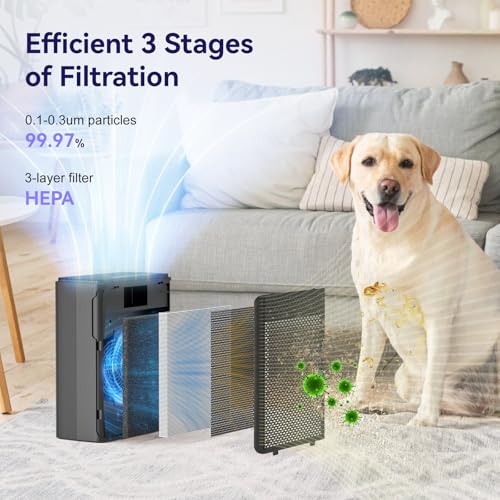 YARIKI Air Purifiers for Home Pets Covers Up to 1500 Sq Ft,H13 Hepa Filter with Washable Pre-Filter,Pet Hair Dander Smoke Air Cleaner,22 dB Quiet Sleep for Living Room Bedroom Kitchen,P280 (1, Black)