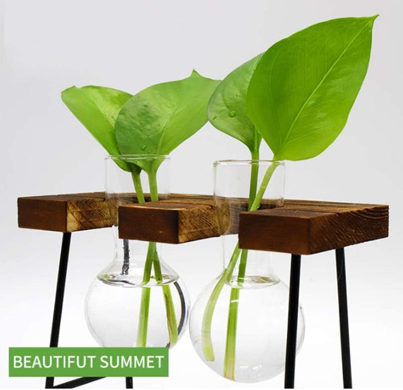 Benting Plants Propagation Stations with Wooden Stand, Glass Planter Tabletop Bulb Vase for Hydroponics Plants Home Office Decor-2 Vase