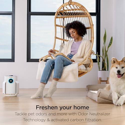 Shark NeverChange Air Purifier Compact Pro, Long-Lasting HEPA-Exceeding Filtration, For Pet Dander, Dust, Smoke, Allergens, Up to 250 sq. ft., Odor Neutralizer, Bedroom, Nursery, Dorm, HP072 (2025)