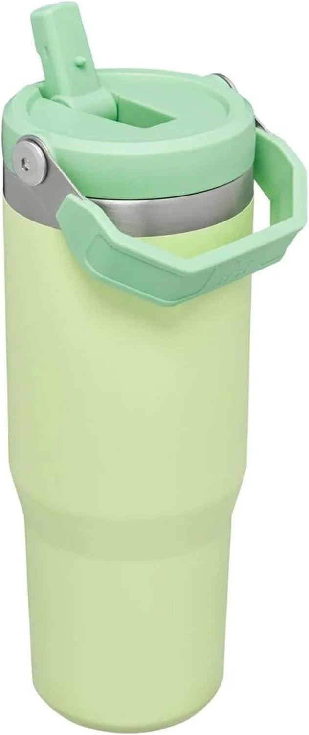 Stanley IceFlow Stainless Steel Tumbler with Straw - Vacuum Insulated Water Bottle for Home, Office or Car - Reusable Cup with Straw Leakproof Flip - Cold for 12 Hours or Iced for 2 Days