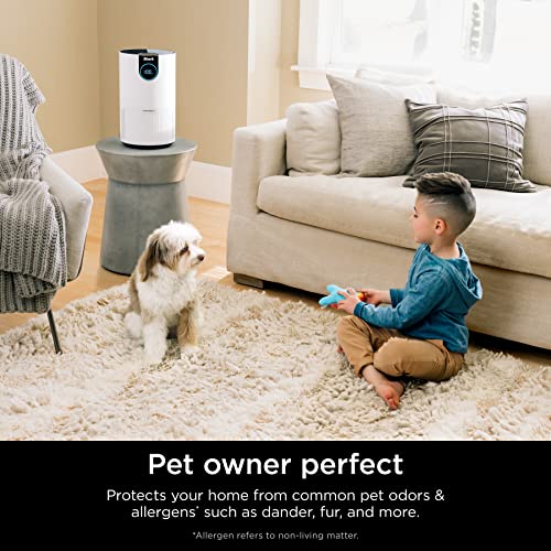Shark HP102PK2 Air Purifier Two Pack with True HEPA, Cleans up to 500 sq. ft. Captures 99.98% of particles, dust, allergens, smoke up to 0.1–0.2 microns, Odor Lock, White