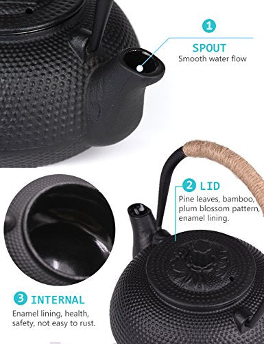 SUSTEAS Japanese Tetsubin Tea Kettle Cast Iron Teapot with Stainless Steel Infuser Black 650ml