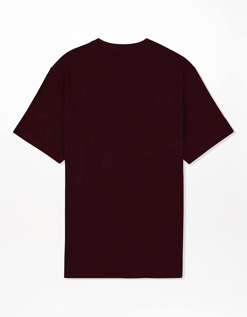 American Eagle Mens Super Soft Basic Icon V-Neck T-Shirt T-Shirt (pack of 1)