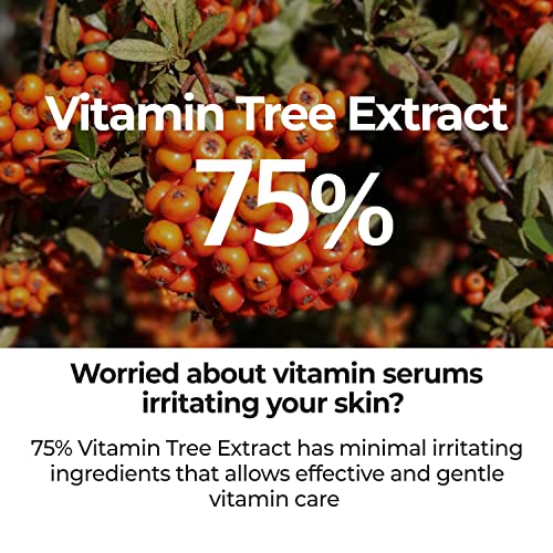 numbuzin No.5 Serum | Goodbye Blemish Serum | Solution for Blemisheds, Dark Spots, Acne Scars with Vitamin C, Niacinamide, Antioxidant | Lightweight Gel, Korean Skin Care for Face | 50ml