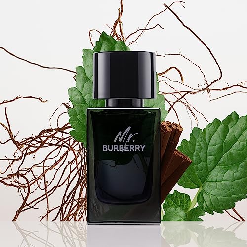 Burberry Perfume - Mr. Burberry by Burberry - perfume for men - Eau De Parfum, 50 ML