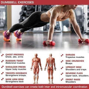Dumbbell Weights| Unisex Adult Vinyl Coated Weights for Exercise & Fitness | Dumbbells Comes in 1.5 kg Pair | Set of 2 in red