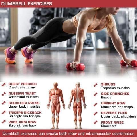 Dumbbell Weights| Unisex Adult Vinyl Coated Weights for Exercise & Fitness | Dumbbells Comes in 1.5 kg Pair | Set of 2 in red