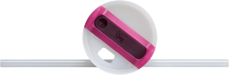 Stanley Quencher H2.O FlowState™ Tumbler 30oz Rose Quartz