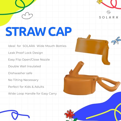 SOLARA Water Bottle for Kids 450ml, Kids Water Bottle, Sipper Bottle for Kids, Thermosteel Kids Bottle, Stainless Steel Water Bottle for Kids, Straw Bottle for Kids, Fruit