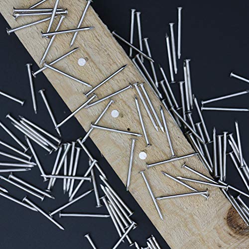 JEGONFRI 500pcs Hardware Nails, 1 Inch Nickel Plated Hanging Nails, Wall Nails for Picture Hanging, Wood Nails, Wire Nails, Small Nails (1 In)