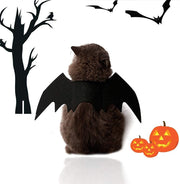 Mumoo Bear Cat Costume Halloween Bat Wings Pet Costumes Pet Apparel For Small Dogs And Cats