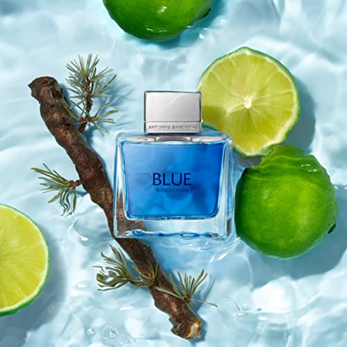 Antonio Banderas Blue Seduction - perfume for men, 200 ml - EDT Spray