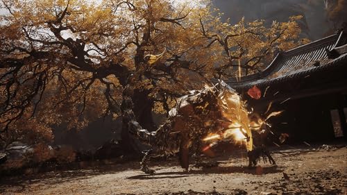 PS5 Black Myth: Wukong PEGI